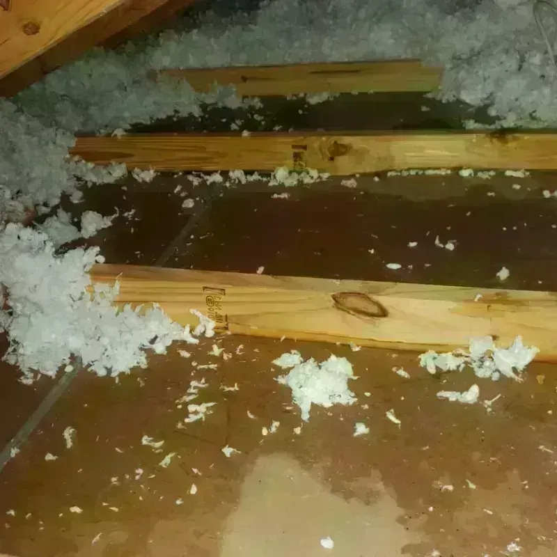 Attic Water Damage in Mooresville, NC