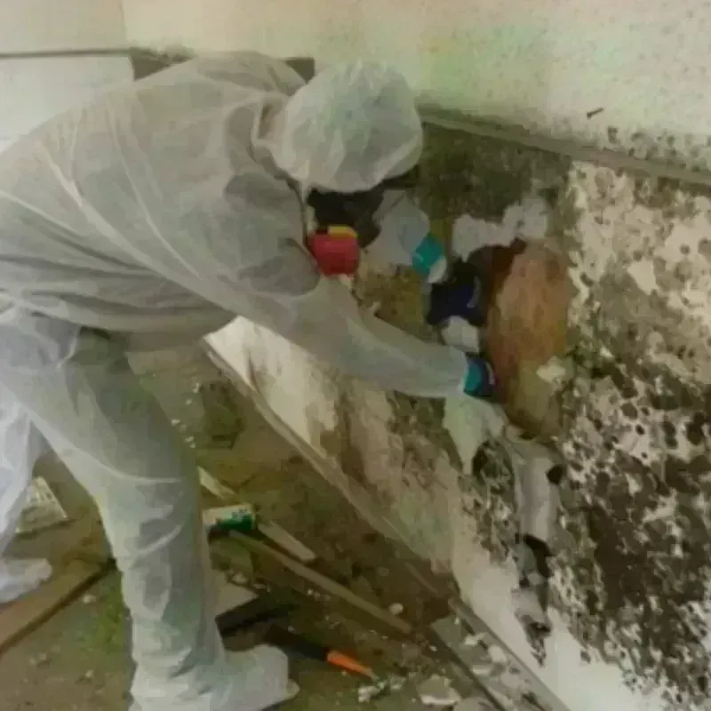 Mold Remediation and Removal in Mooresville, NC